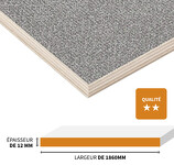 PANNEAU CONTREPLAQUÉ ANTIDÉRAPANT EN BOULEAU DE QUALITÉ SUPÉRIEURE 3100 X 1860 X 12 MM