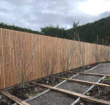 BARDAGE NATUREL ENDOUGLAS AUTOCLAVÉ INCOLORE 3.2 CLAIRE-VOIE 26 X 70 MM
