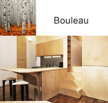 PANNEAU CONTREPLAQUÉ EN BOULEAU DE FINLANDE QUALITÉ BB+/EBB 3000 X 1500 X 6.5 MM